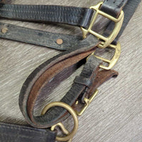 Leather Halter, nameplate *fair, dingy, rubs, chews, taped/broken snap, torn end

