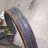 Leather Halter, nameplate *fair, dingy, rubs, chews, taped/broken snap, torn end
