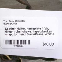 Leather Halter, nameplate *fair, dingy, rubs, chews, taped/broken snap, torn end
