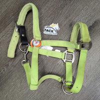 Fleece Padded Nylon Breakaway Halter, adj, snap *gc, clean, faded, stains, pilly, mnr hair, rust, rubs
