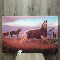 Horse Canvas Print *xc, mnr corner rubs
