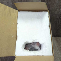 Bobble Head Horse, box *new
