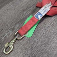 Thin Nylon Web Lunge Line, Loop Handle *gc, older, stains, dirt, rubs
