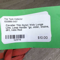 Thin Nylon Web Lunge Line, Loop Handle *gc, older, stains, dirt, rubs
