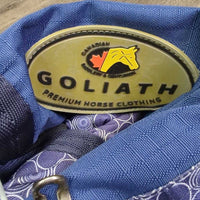 Lt Winter Blanket, 2 legs *gc, clean, older, mnr wpf, broken snap, repairs, lining tears, mnr threads, faded
