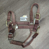 Nylon Halter, adj, snap *fair, older, faded, mnr rust, residue, threads
