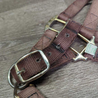 Nylon Halter, adj, snap *fair, older, faded, mnr rust, residue, threads
