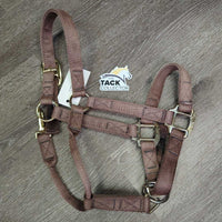 Nylon Halter, adj, snap *fair, older, faded, mnr rust, residue, threads
