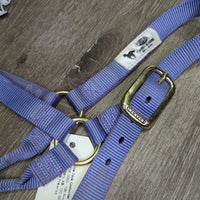 Nylon Halter, nylon tri-colour lead rope *xc, mnr snags, rubs/stains
