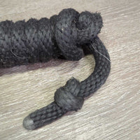 Nylon Lead Rope, snap *fair, clean, stiff, knots, faded, snags, frays, rust
