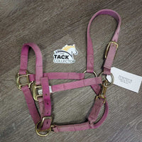 Nylon Halter, adj, snap *vgc/gc, clean, older, faded, stains, rubs, mnr snags
