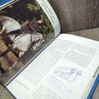 The Bit and the Reins by Gerhard Kapitzke *vgc, mnr rubs, bent corners, scuffs & dirt
