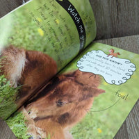 Collect-A-Pet Reader: My Cute Pony *gc, ripped page, No Charm

