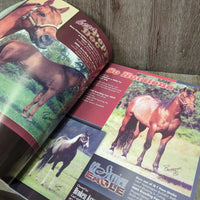 2005 Quarter Horse News Stallion Register *gc, mnr dirt, torn cover edges, bent pages
