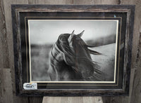 Black & White Horse Photo, 2x Matte, Hvy Wood Frame *vgc, v.wavy/bent matt

