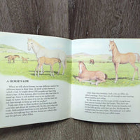 Horses & Ponies by R.Hansen & P.Barrett *gc, older, inscribed, edge rubs, bent corners, stains
