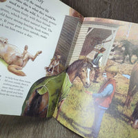The Best Book of Ponies - Kingfisher *gc, stains
