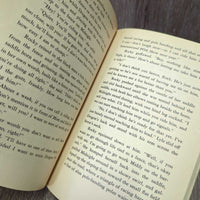 New Day for Dragon by Lynn Hall *gc, edge rubs, peeled, library book, v.yellowed
