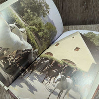 The Lipizzaners and the Spanish Riding School *xc
