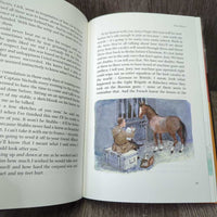 War Horse by Michael Morpurgo *gc, dirty, film, rubs & scrapes
