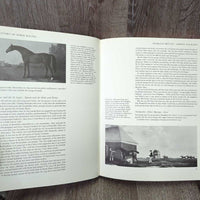 The History of Horse Racing by Roger Longrigg *vgc, mnr torn corners, rubs & scratches
