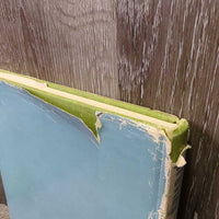 Improving your Riding with Janet Holyoake *fair, bent corners, faded, stains, cover: v.rubbed, torn & scraped, inscribed
