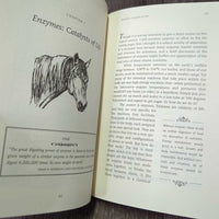 Beyond the Hay Days - 2nd Edition by Rex Ewing *vgc, mnr faded, rubs, scuffs & scratches
