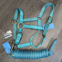 Nylon Halter, adj, snap, nylon lead rope *gc, clean, stains, faded, mnr snags, frays
