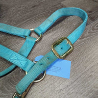 Nylon Halter, adj, snap, nylon lead rope *gc, clean, stains, faded, mnr snags, frays
