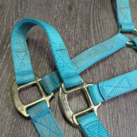 Nylon Halter, adj, snap, nylon lead rope *gc, clean, stains, faded, mnr snags, frays

