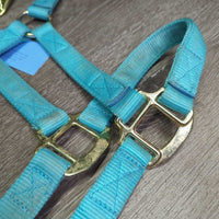 Nylon Halter, adj, snap, nylon lead rope *gc, clean, stains, faded, mnr snags, frays
