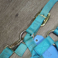 Nylon Halter, adj, snap, nylon lead rope *gc, clean, stains, faded, mnr snags, frays
