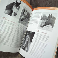 Getting in TTouch with Your Horse by Linda Tellington-Jones *vgc, mnr faded binding
