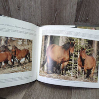 Nobody's Horses by Gilles Korent *vgc, mnr scuffs & rubs "autographed"
