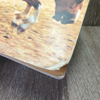 Rodeo: The Great American Sport - Murra Tinkelman *gc/fair, rubs, scrapes, creased & bent corners, peeled , library book
