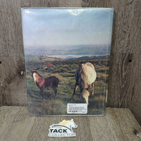 The Colour Book of Horses & Ponies by Jane Reid *fair, torn, taped, folded & bent corners, loose binding, tape, library book
