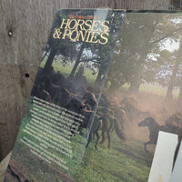 The Colour Book of Horses & Ponies by Jane Reid *fair, torn, taped, folded & bent corners, loose binding, tape, library book
