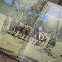 The Colour Book of Horses & Ponies by Jane Reid *fair, torn, taped, folded & bent corners, loose binding, tape, library book
