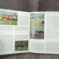 The Colour Book of Horses & Ponies by Jane Reid *fair, torn, taped, folded & bent corners, loose binding, tape, library book
