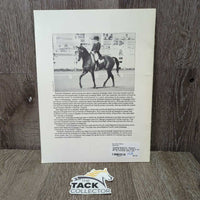 Practical Horseman - Elizabeth Madlener Putting Your Horse on the Bit *gc, inscribed, stains, rubs
