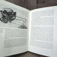 Driving a Harness Horse: A Step-by-Step Guide by Sallie Walrond *vgc, mnr rubs, scuffs & bent corners
