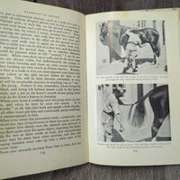 Vintage Elements of Riding by RS Summerhays *fair, torn binding, v.yellowed, stains, library dicard, peeled
