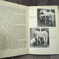 Vintage Elements of Riding by RS Summerhays *fair, torn binding, v.yellowed, stains, library dicard, peeled
