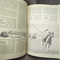 1961 Vintage The How and Why Wonder Book of Horses *xc
