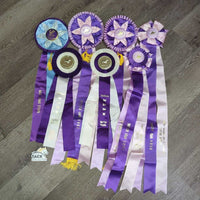 Assorted Fancy Horse Show Ribbon, inscribed *
