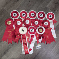 Assorted Horse Show Ribbon, inscribed *
