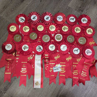 Assorted Horse Show Ribbon, inscribed *
