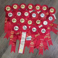 Assorted Horse Show Ribbon, inscribed *
