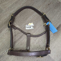 Leather Halter, adj, snap *vgc, clean & mnr dirt/residue, name plate holes, scratches, loose thread, rubs, scrapes
