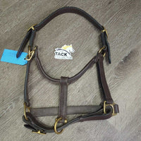 Leather Halter, adj, snap *vgc, clean & mnr dirt/residue, name plate holes, scratches, loose thread, rubs, scrapes
